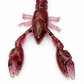 HDX Craw 2.75